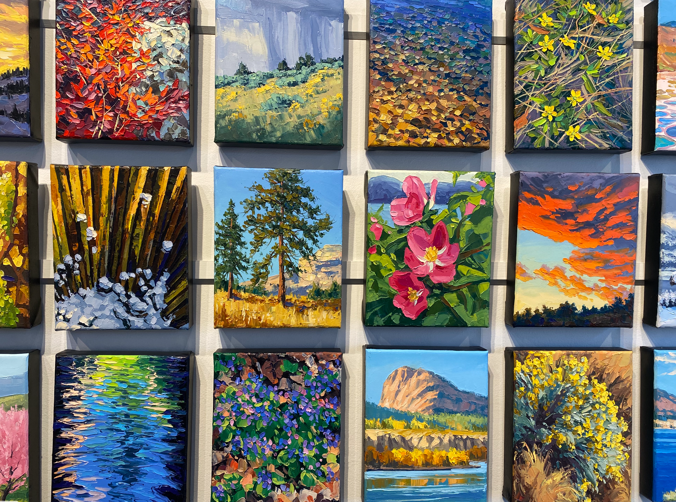 iN PHOTOS: Okanagan landscape artists inspired by where they live | iNFOnews.ca