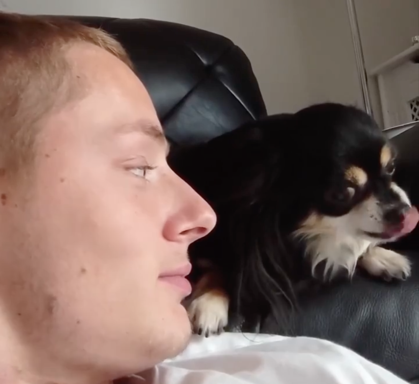 TRENDING NOW: Dog has love-hate relationship owner | iNFOnews.ca TRENDING NOW: Dog has love-hate relationship owner | iNFOnews.ca