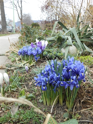 Spring Equinox means longer days ahead | iNFOnews.ca