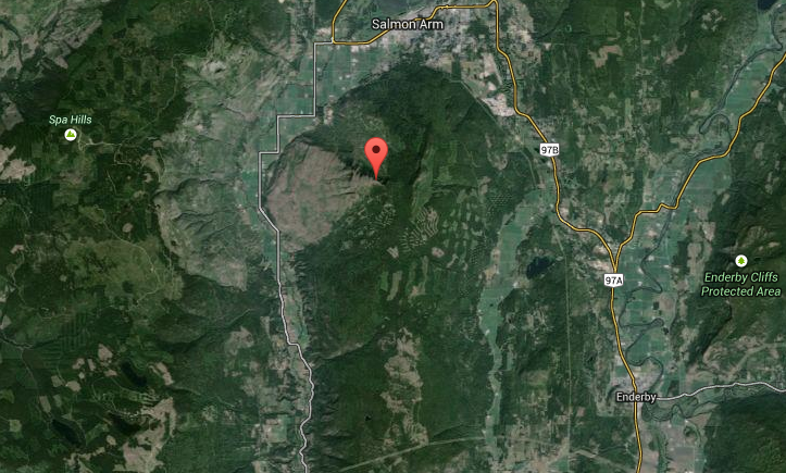 Salmon Arm woman accidentally shot | iNFOnews.ca