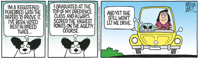 RAESIDE CARTOON | iNFOnews.ca