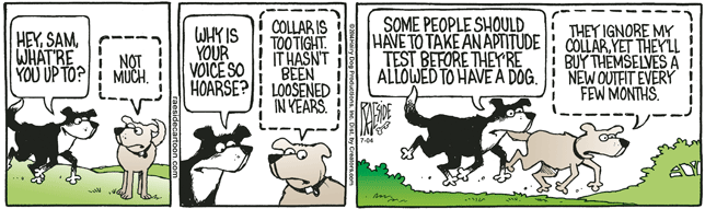 RAESIDE CARTOON | iNFOnews.ca