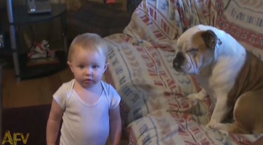 This baby makes a valid argument | iNFOnews.ca This baby makes a valid argument | iNFOnews.ca