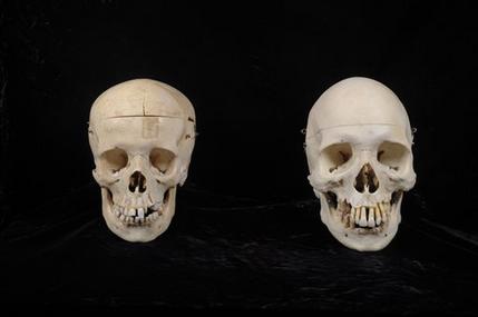 Officials search for person who donated 3 human skulls to Washington thrift store | iNFOnews.ca Officials search for person who donated 3 human skulls to Washington thrift store | iNFOnews.ca