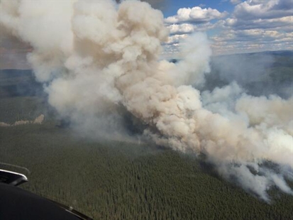 B.C. heat wave sparks concerns about forest fire risk | iNFOnews.ca