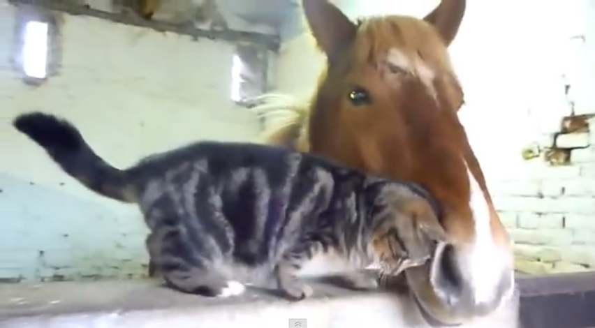 Size doesn't matter | iNFOnews.ca