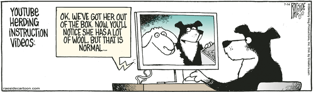 RAESIDE CARTOON | iNFOnews.ca RAESIDE CARTOON | iNFOnews.ca