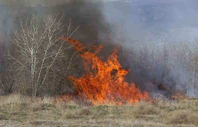 Controlled burnings to help plants, reduce forest fires | iNFOnews.ca