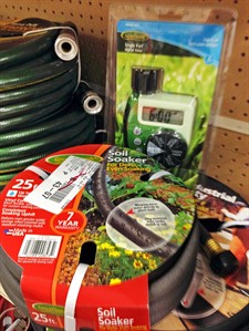 From timed watering to last-minute weeding, tips for gardeners going on vacation | iNFOnews.ca