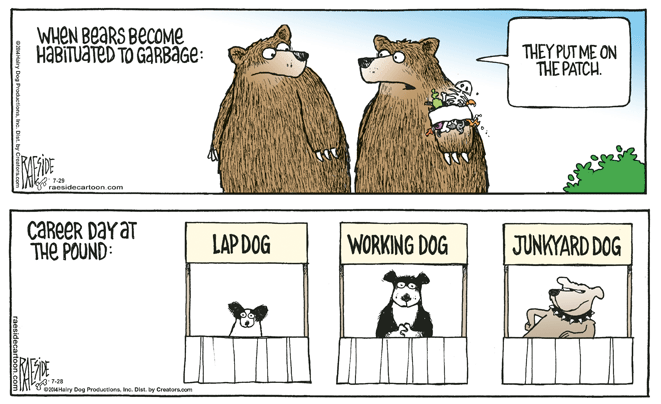 RAESIDE CARTOON | iNFOnews.ca RAESIDE CARTOON | iNFOnews.ca