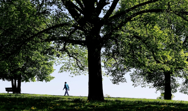 Walk away from bad habits | iNFOnews.ca