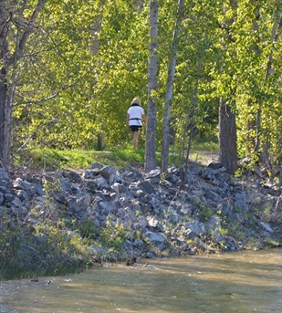 Many kinds of mammals share the Mission Creek Greenway | iNFOnews.ca