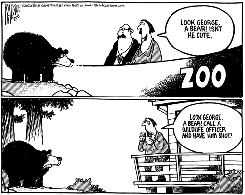 RAESIDE CARTOON | iNFOnews.ca RAESIDE CARTOON | iNFOnews.ca