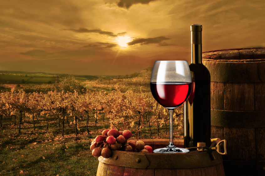 WineAlign picks winners out of 1,335 entries; Mission Hill ranks second | iNFOnews.ca