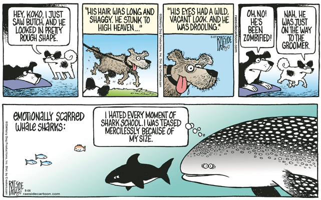 RAESIDE CARTOON | iNFOnews.ca