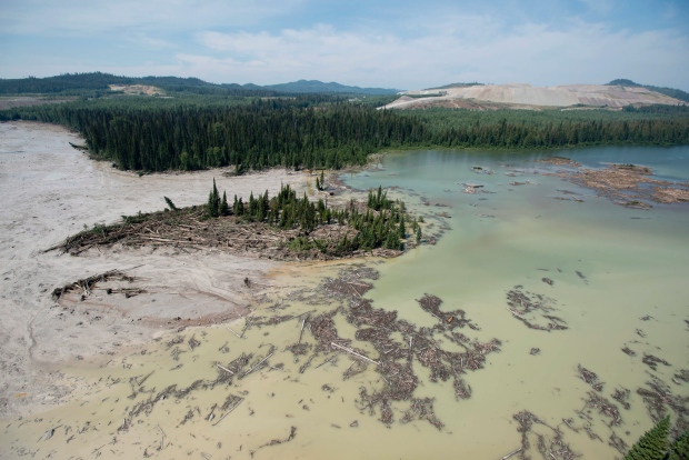 First Nations health officials to start salmon testing after B.C. mine spill | iNFOnews.ca First Nations health officials to start salmon testing after B.C. mine spill | iNFOnews.ca