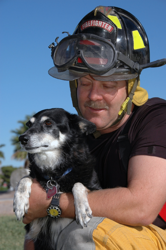 A different type of rescue 'tail' as Victoria firefighters unmask aid for pets | iNFOnews.ca