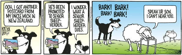 RAESIDE CARTOON | iNFOnews.ca