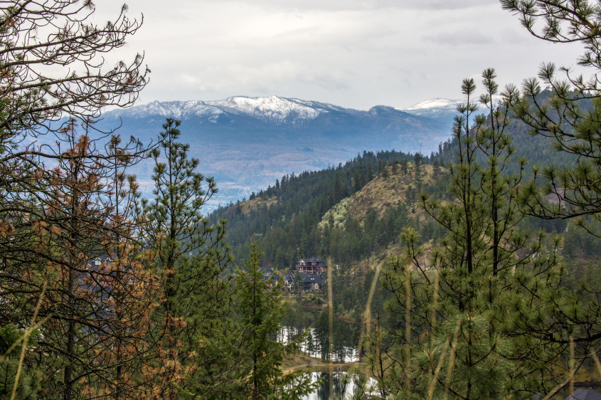 2014 Fall and winter forecast brought to you by El Niño | iNFOnews.ca 2014 Fall and winter forecast brought to you by El Niño | iNFOnews.ca