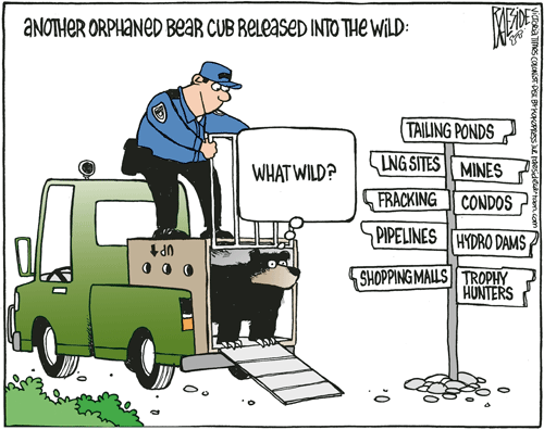 RAESIDE CARTOON | iNFOnews.ca