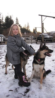 BX park proposal passed off to GVAC | iNFOnews.ca