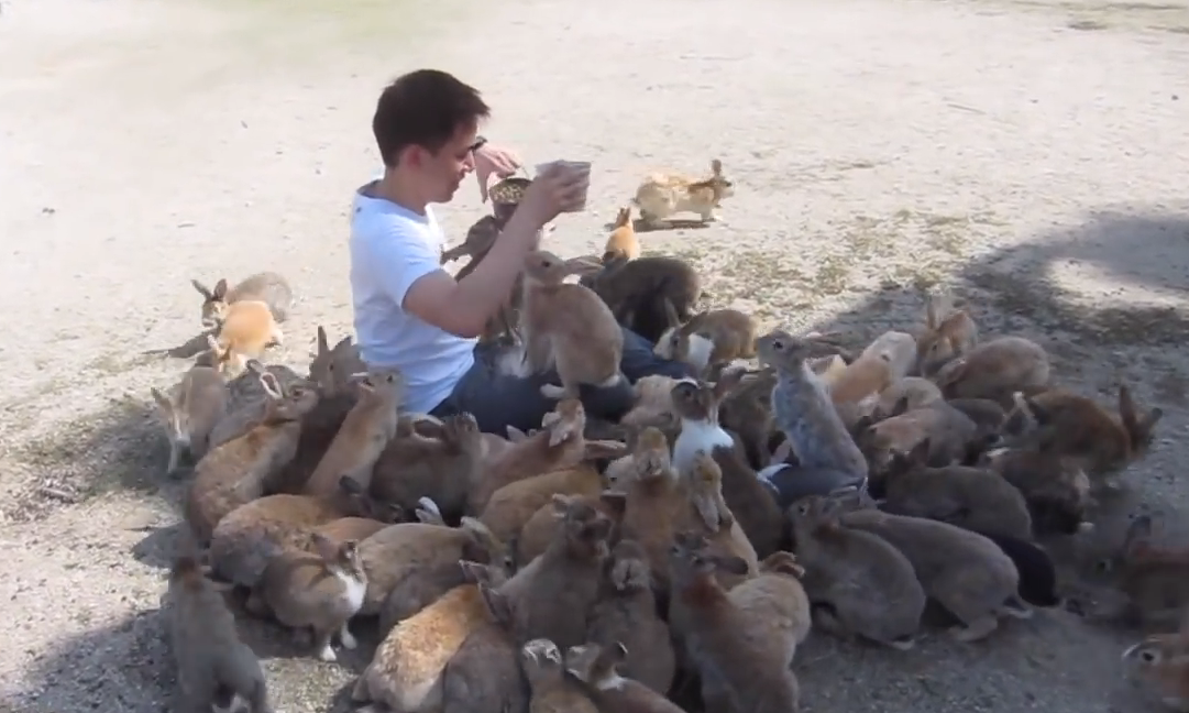 Man mobbed by bunnies | iNFOnews.ca