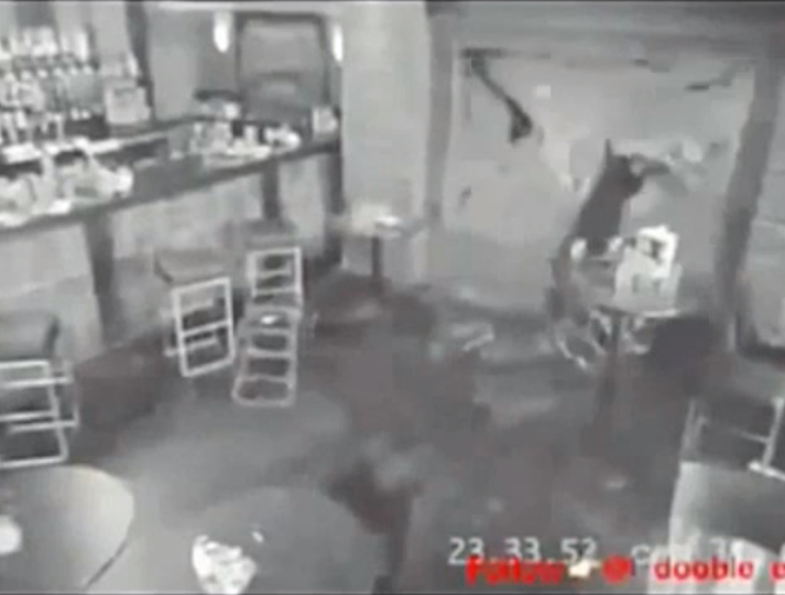 You think your day sucks | iNFOnews.ca