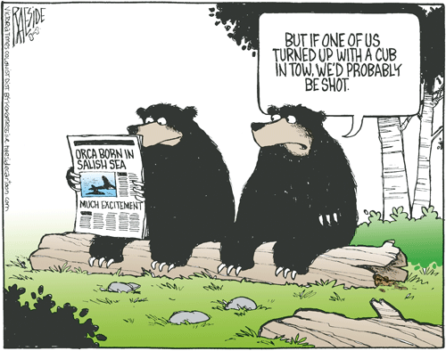 RAESIDE CARTOON | iNFOnews.ca RAESIDE CARTOON | iNFOnews.ca