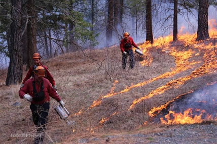 Controlled burns scheduled for Cherryville area | iNFOnews.ca