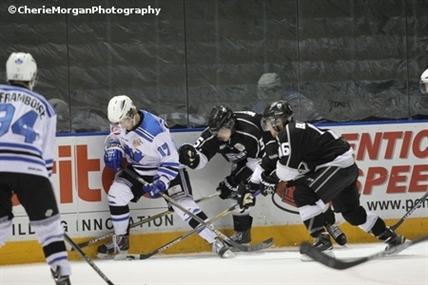 Vees score home opening win against Silverbacks | iNFOnews.ca
