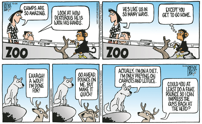 RAESIDE CARTOON | iNFOnews.ca RAESIDE CARTOON | iNFOnews.ca