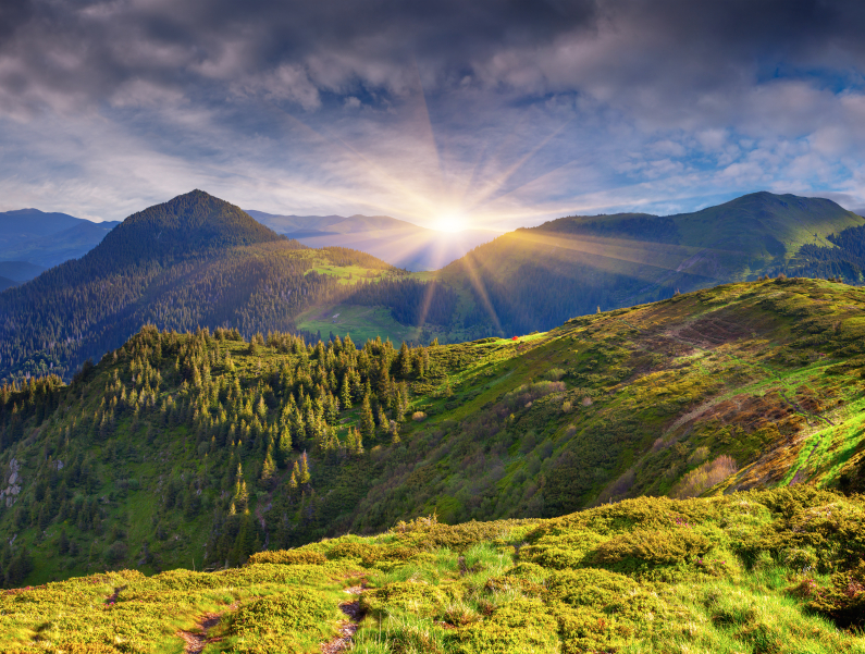 B.C. Treaty Commission urges First Nations to resolve overlapping land claims | iNFOnews.ca