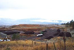 Love your lawn with free compost | iNFOnews.ca