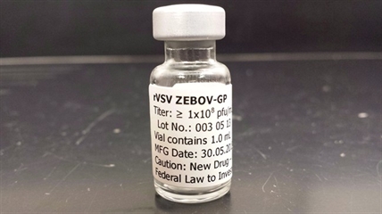 'No shortage of volunteers' for clinical trial of Canadian-made Ebola vaccine | iNFOnews.ca 'No shortage of volunteers' for clinical trial of Canadian-made Ebola vaccine | iNFOnews.ca