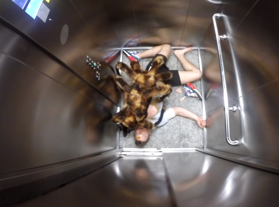 Mutant giant spider dog | iNFOnews.ca