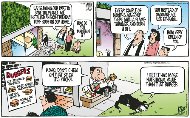 RAESIDE CARTOON | iNFOnews.ca RAESIDE CARTOON | iNFOnews.ca