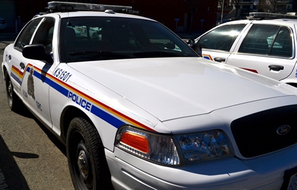 Barnhartvale raid turns up 1,200 marijuana plants | iNFOnews.ca Barnhartvale raid turns up 1,200 marijuana plants | iNFOnews.ca