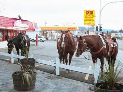 Enderby promotes historic mode of transport | iNFOnews.ca
