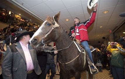 Stampeders' Grey Cup fans horse around with 24-year-old mare in Vancouver | iNFOnews.ca