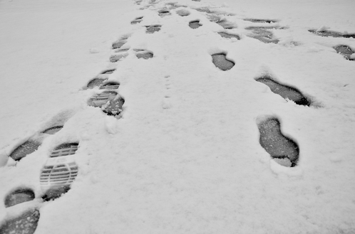 Extra caution urged for pedestrians and motorists with 5 deaths in 11 days | iNFOnews.ca