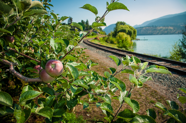 Next hurdle in rail corridor deal is securing funding | iNFOnews.ca Next hurdle in rail corridor deal is securing funding | iNFOnews.ca
