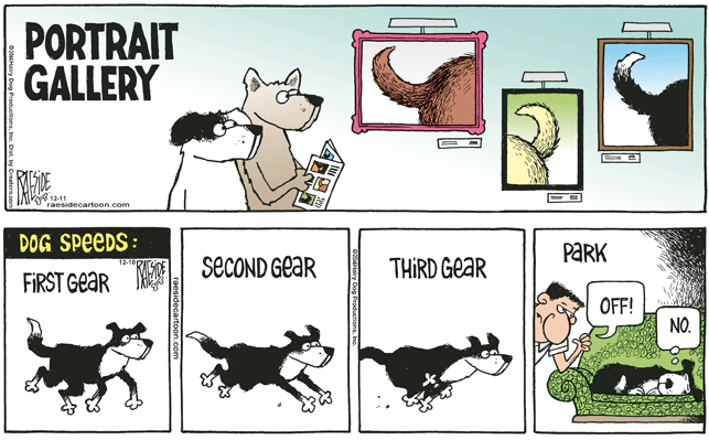 RAESIDE CARTOON | iNFOnews.ca