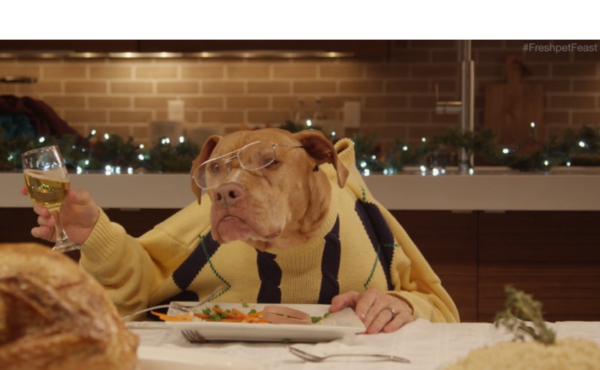 Pets have a Christmas feast | iNFOnews.ca