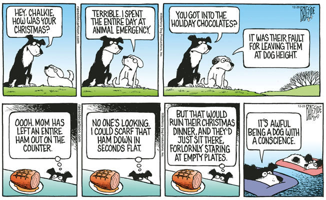 RAESIDE CARTOON | iNFOnews.ca