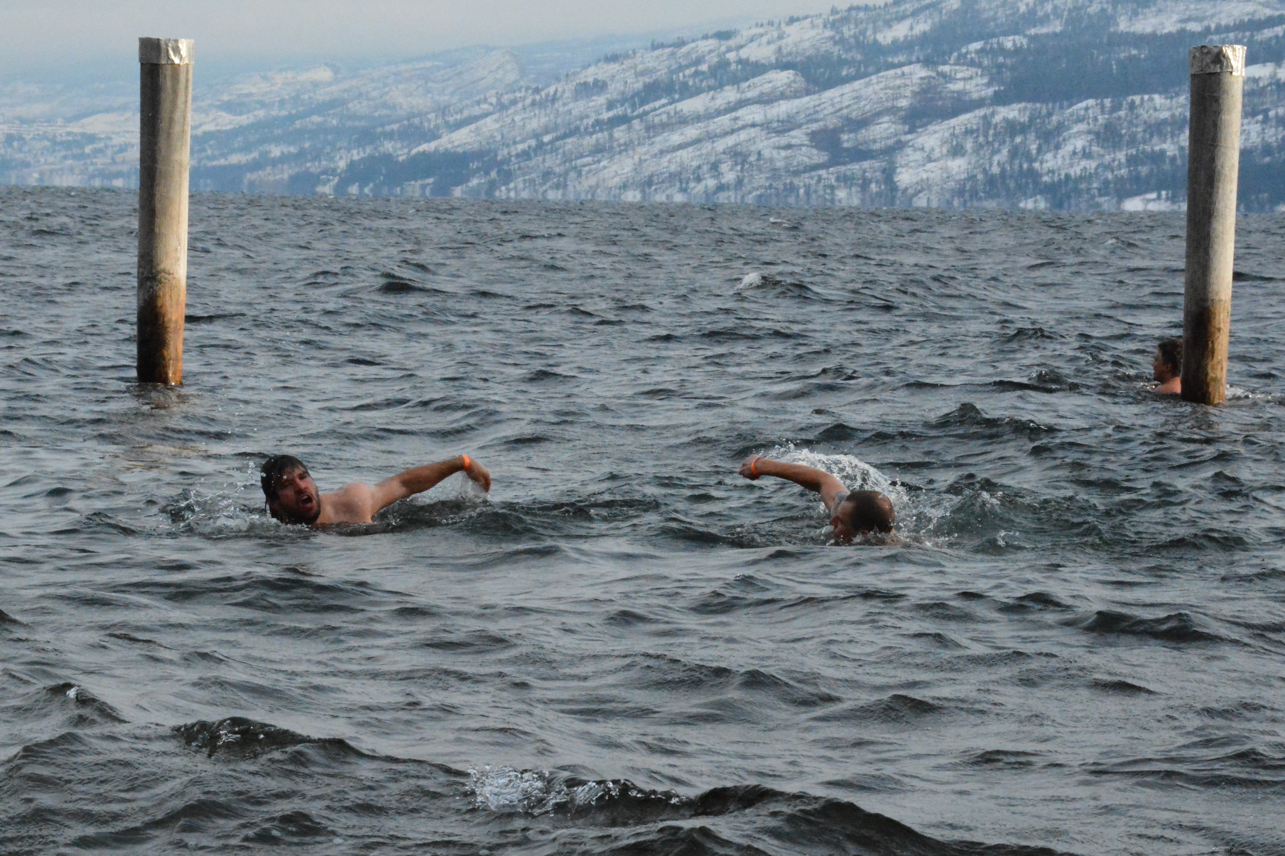 PHOTOS: 2015 Polar Bear Swim in Peachland draws plenty of gutsy swimmers | iNFOnews.ca
