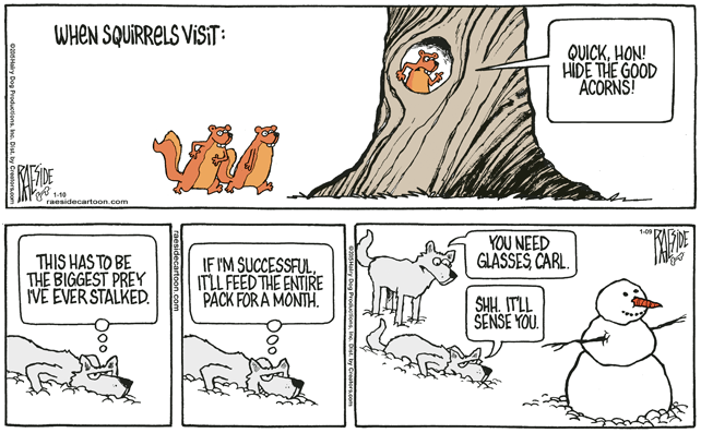 RAESIDE CARTOON | iNFOnews.ca