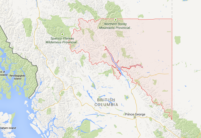 B.C. to hunt wolves by helicopter in order to save endangered caribou herds | iNFOnews.ca B.C. to hunt wolves by helicopter in order to save endangered caribou herds | iNFOnews.ca