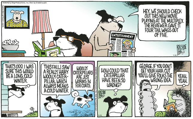 RAESIDE CARTOON | iNFOnews.ca