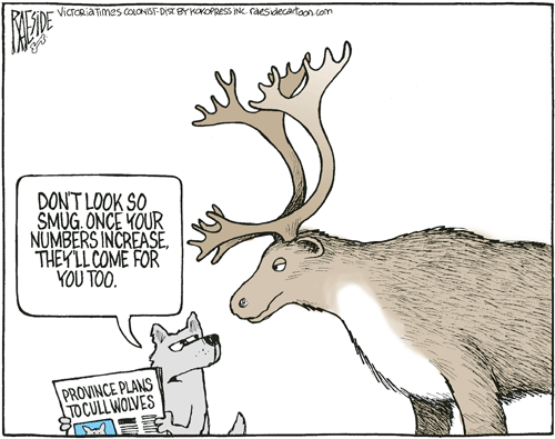 RAESIDE CARTOON | iNFOnews.ca RAESIDE CARTOON | iNFOnews.ca