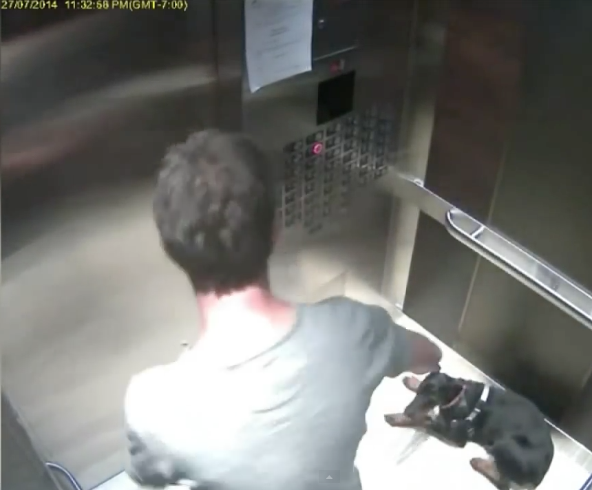 Puppy cruelty charges laid against B.C. man after alleged elevator incident | iNFOnews.ca Puppy cruelty charges laid against B.C. man after alleged elevator incident | iNFOnews.ca